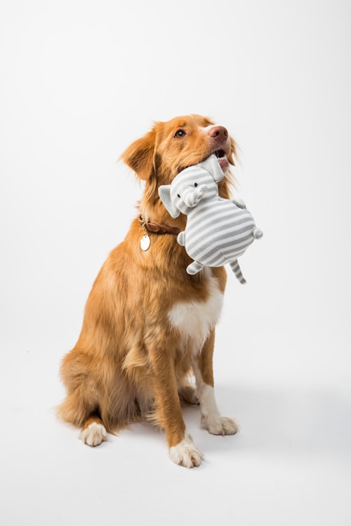 Plush cushioned comfortable pet bed